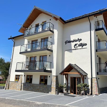 Bed and Breakfast Pieninska Ostoja Czorsztyn Exterior foto